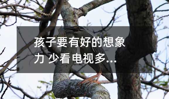 孩子要有好的想象力 少看電視多讀書!