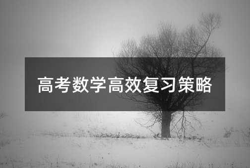 高考數學高效復習策略