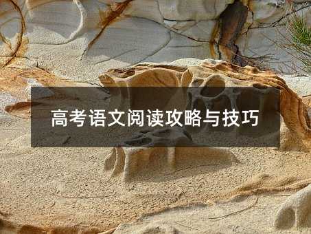 高考語文閱讀攻略與技巧