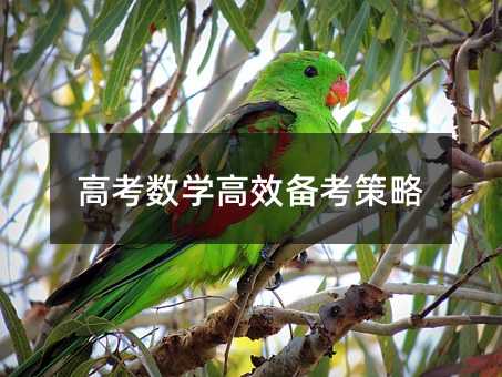 高考數學高效備考策略