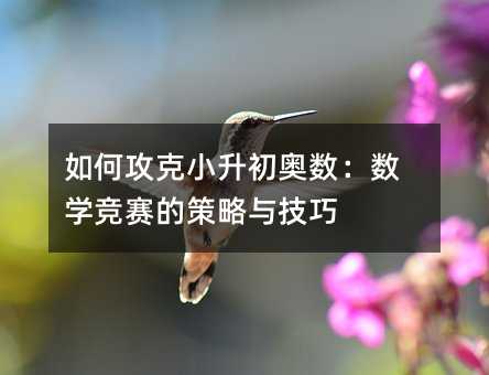 如何攻克小升初奧數(shù):數(shù)學(xué)競賽的策略與技巧