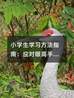 СW(xu)W(xu)(x)ָϣ(yng)۸ֵ͵ČW(xu)(x)ģʽ
