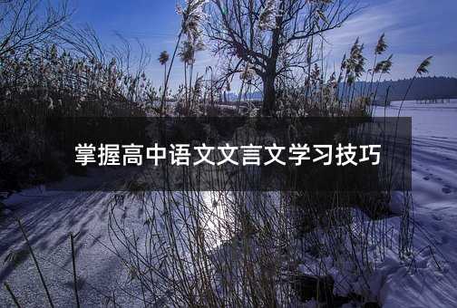 掌握高中語文文言文學(xué)習(xí)技巧