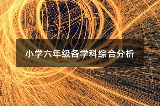 小學六年級各學科綜合分析