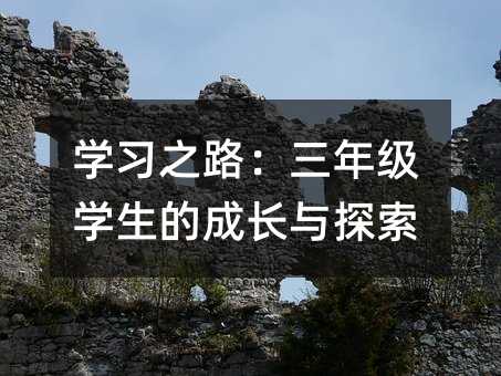 學習之路:三年級學生的成長與探索