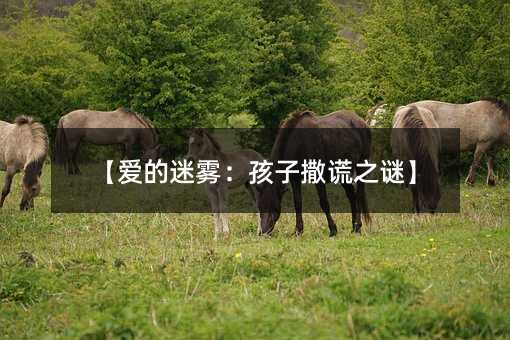 ۵Fe֮i