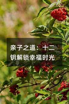 親子之道:十二鑰解鎖幸福時光