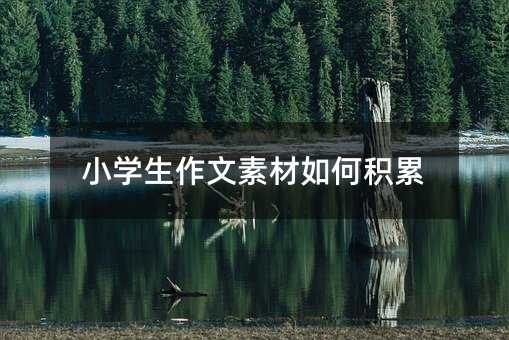 小學(xué)生作文素材如何積累