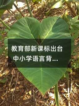 教育部新課標(biāo)出臺(tái) 中小學(xué)語(yǔ)言背誦篇目增加20篇