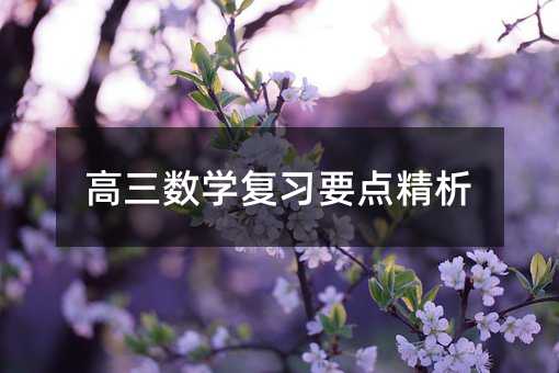 高三數(shù)學(xué)復(fù)習(xí)要點(diǎn)精析