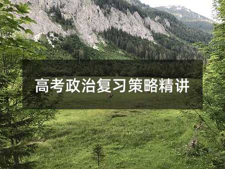 高考政治復(fù)習(xí)策略精講