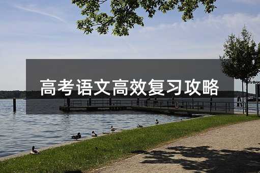 高考語文高效復習攻略