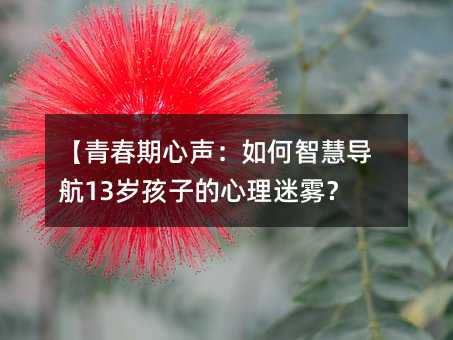 【青春期心聲:如何智慧導航13歲孩子的心理迷霧?】