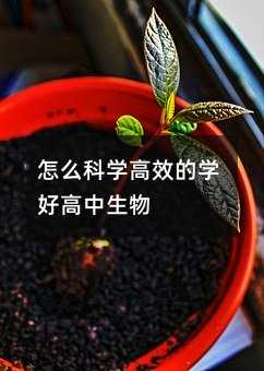 怎么科學(xué)高效的學(xué)好高中生物