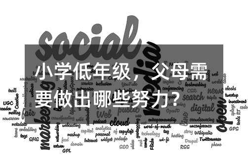 小學低年級,父母需要做出哪些努力?
