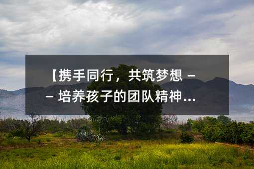 【攜手同行,共筑夢想 —— 培養孩子的團隊精神之旅】