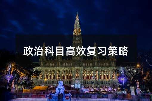 政治科目高效復習策略