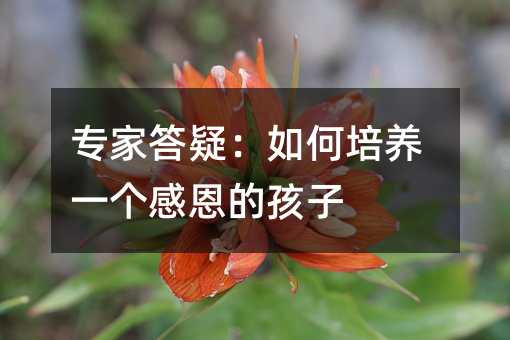 專(zhuān)家答疑:如何培養(yǎng)一個(gè)感恩的孩子