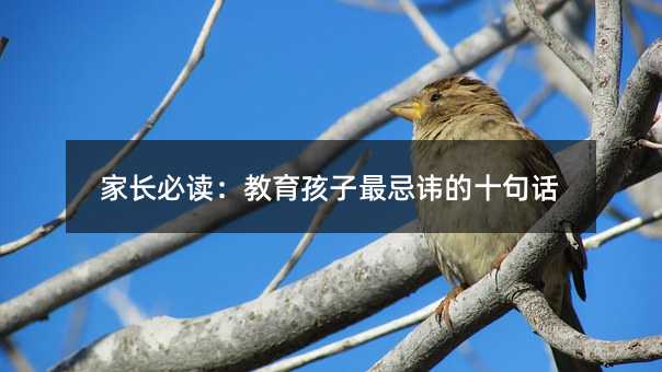 家長必讀:教育孩子最忌諱的十句話