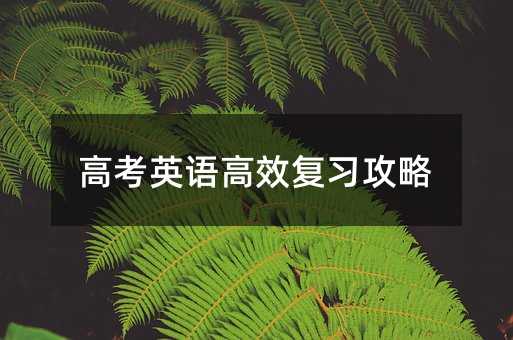 高考英語高效復習攻略