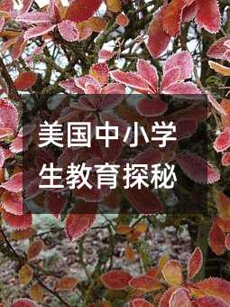 СW(xu)̽