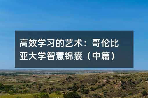 高效學(xué)習(xí)的藝術(shù):哥倫比亞大學(xué)智慧錦囊(中篇)