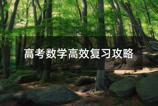 高考數學高效復習攻略