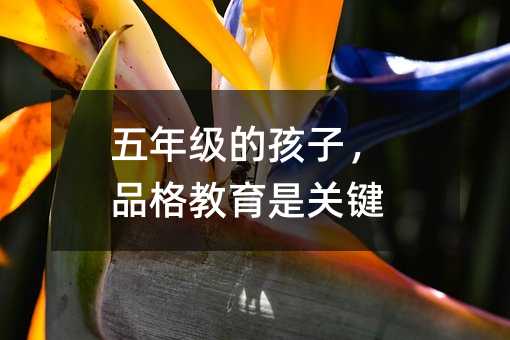 꼉ĺƷPI