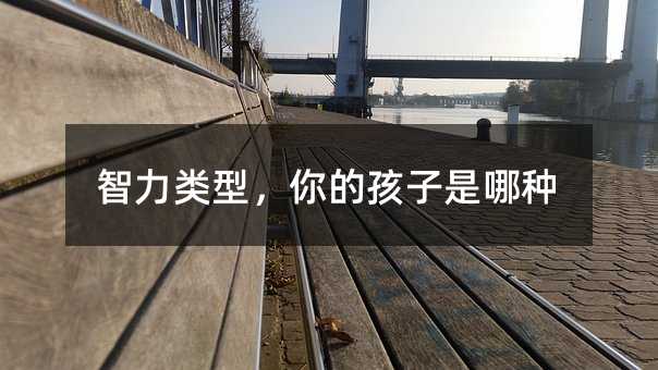 ͣĺķN