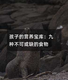 孩子的營養寶庫:九種不可或缺的食物