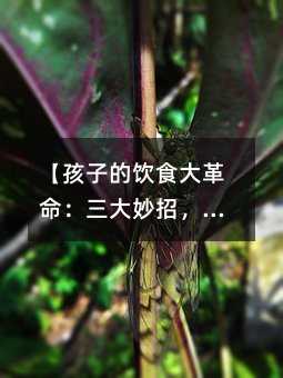 ӵʳ׌ؐhxʳƷ