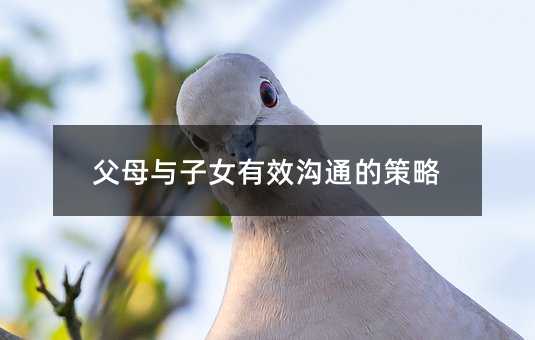 ĸcŮЧͨĲ