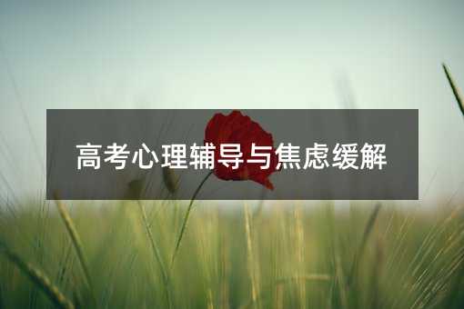 高考心理輔導與焦慮緩解