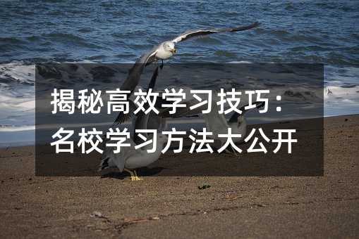 揭秘高效學(xué)習(xí)技巧:名校學(xué)習(xí)方法大公開