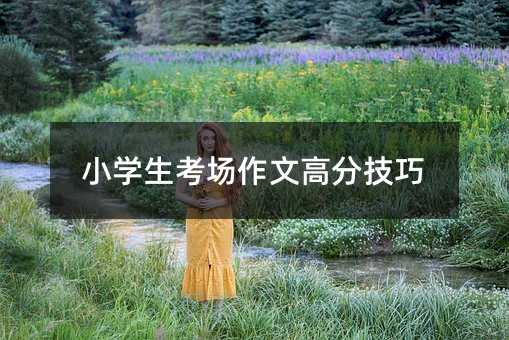 小學(xué)生考場作文高分技巧