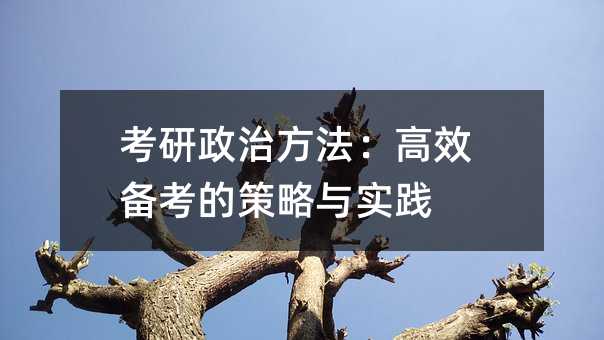 考研政治方法:高效備考的策略與實踐