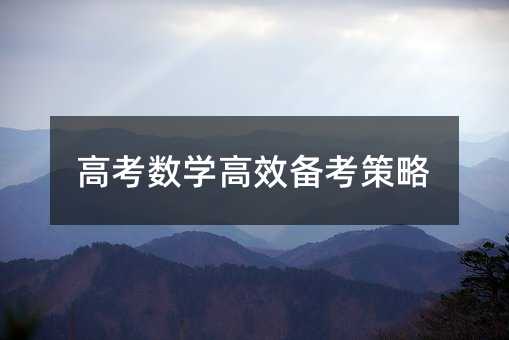 高考數(shù)學高效備考策略