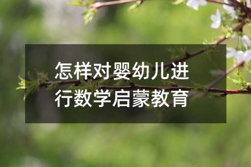怎樣對嬰幼兒進(jìn)行數(shù)學(xué)啟蒙教育