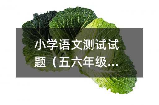 小學語文測試試題(五六年級段)