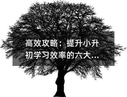 高效攻略:提升小升初學習效率的六大秘籍