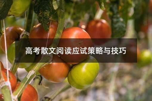高考散文閱讀應試策略與技巧