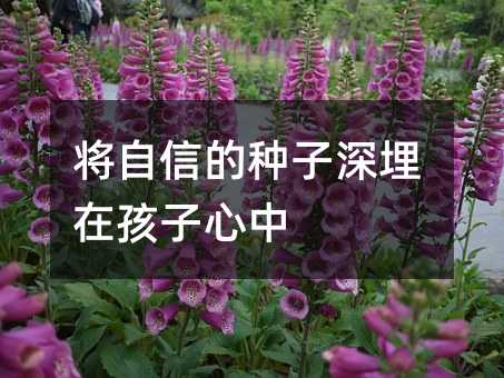 將自信的種子深埋在孩子心中