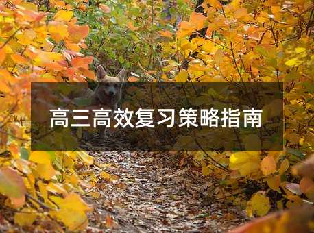 高三高效復習策略指南