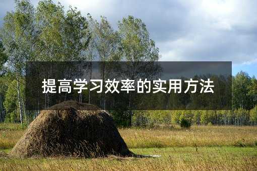 提高學(xué)習(xí)效率的實(shí)用方法