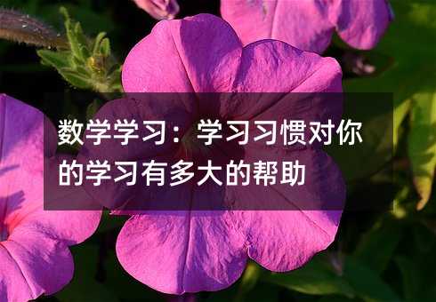數學學習:學習習慣對你的學習有多大的幫助