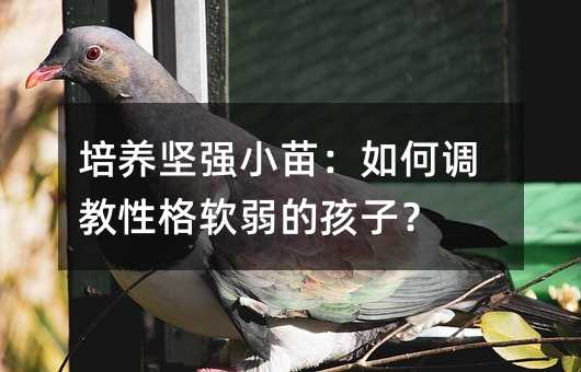 培養堅強小苗:如何調教性格軟弱的孩子?