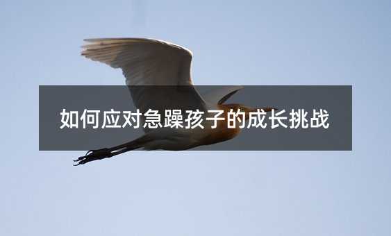 ��Α������꺢�ӵĳ��L����