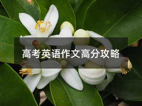 高考英語(yǔ)作文高分攻略