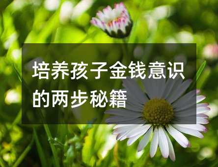 培養(yǎng)孩子金錢意識的兩步秘籍