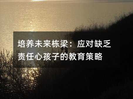 培養(yǎng)未來棟梁:應對缺乏責任心孩子的教育策略